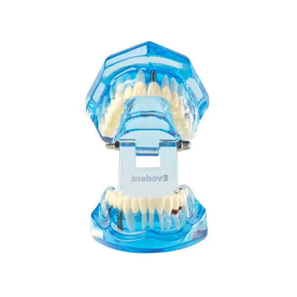 Evodent All in One Model, Blue