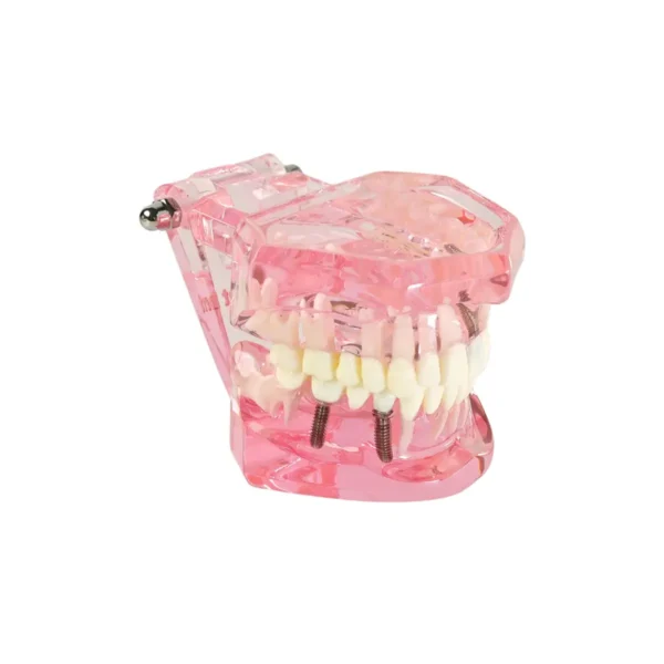 Evodent All in One Model, Pink