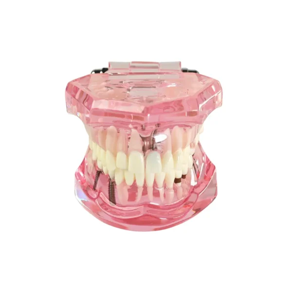 Evodent All in One Model, Pink