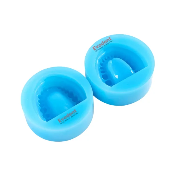 Evodent Dentulous Mold, Sillicone Dental Cast Mold - Upper and Lower Jaw