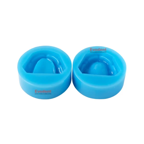 Evodent Edentulous Denture Mold, Silicone Dental Cast Mold - Upper and Lower Jaw