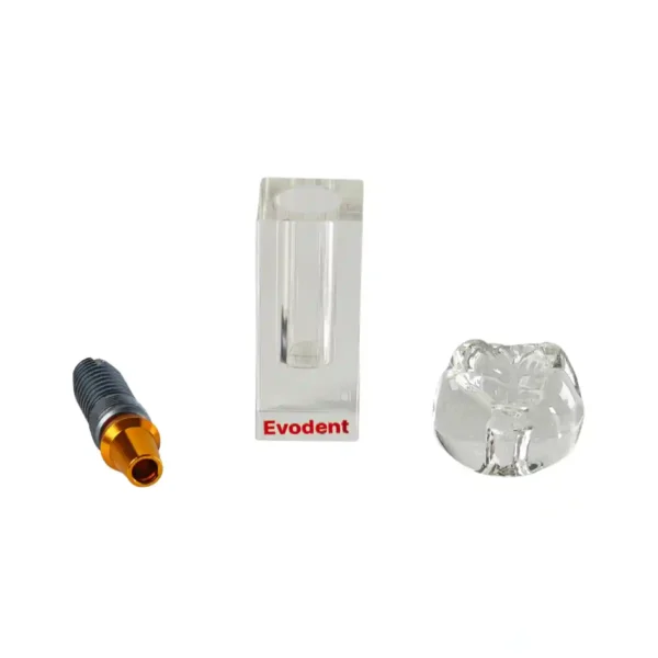 Evodent Implant Display Demonstration Model for Chairside Patient Education