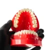 Evodent Orthodontic Bracket Model For Metal And Ceramic Bracket Red