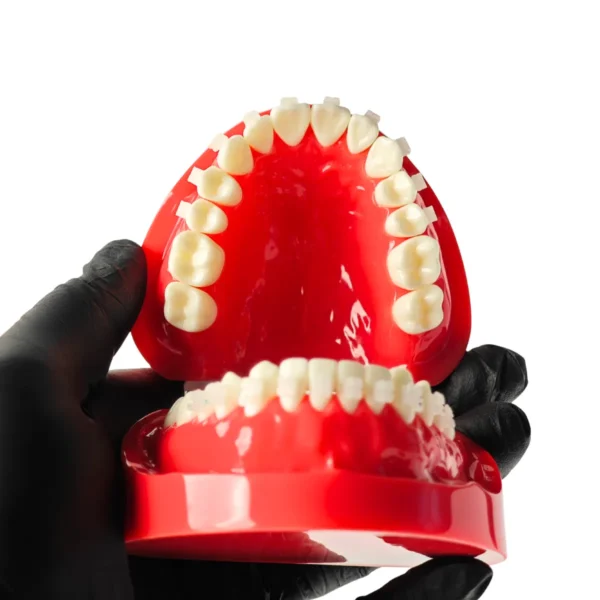 Evodent Orthodontic Bracket Model For Metal and Ceramic Bracket Red