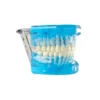 Evodent Ideal Dental Model Transparent, Blue
