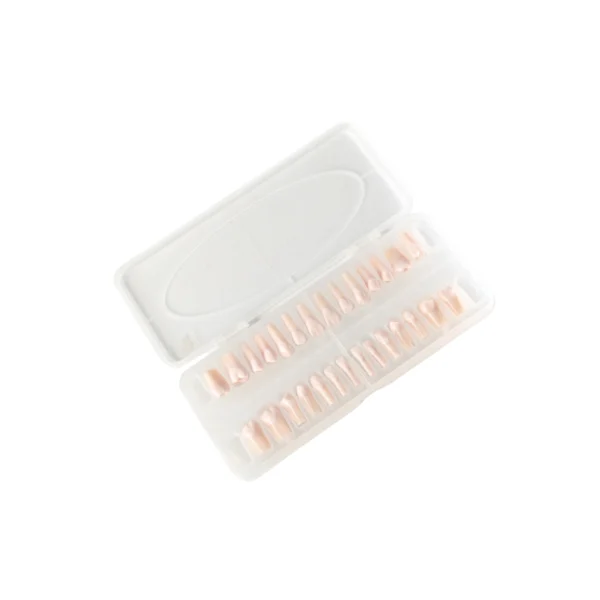 Evodent 200 CORE Root Canal Teeth