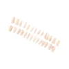 Evodent 200 Core Root Canal Teeth 4 Evodent 200 Core Root Canal Teeth