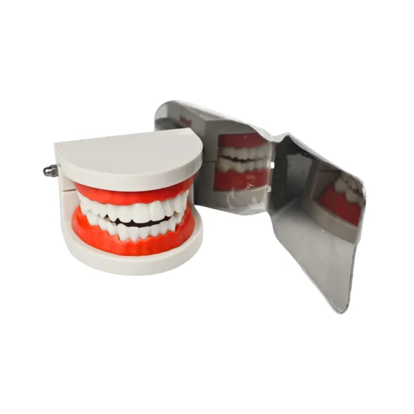 Jaypee Intra Oral Photography Mirror, Metal Mirror For Dental Photography