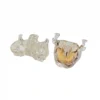 Evodent Signature Orthodontic And Osteology Model For Tmj Anatomy, Jaw Movement, Maxillofacial And Maxillary Sinus
