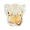 Evodent Signature Orthodontic And Osteology Model For Tmj Anatomy, Jaw Movement, Maxillofacial And Maxillary Sinus