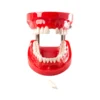 Evodent 200 Pro Hg Dental Typodont Model 32 Teeth, Soft Gingiva, Nissin 200 Compatible With Fe Articulator 4 Evodent 200 Pro Hg Dental Typodont Model 32 Teeth, Soft Gingiva, Nissin 200 Compatible With Fe Articulator