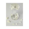 Evodent Signature All In One With Pathology And Implant Clear