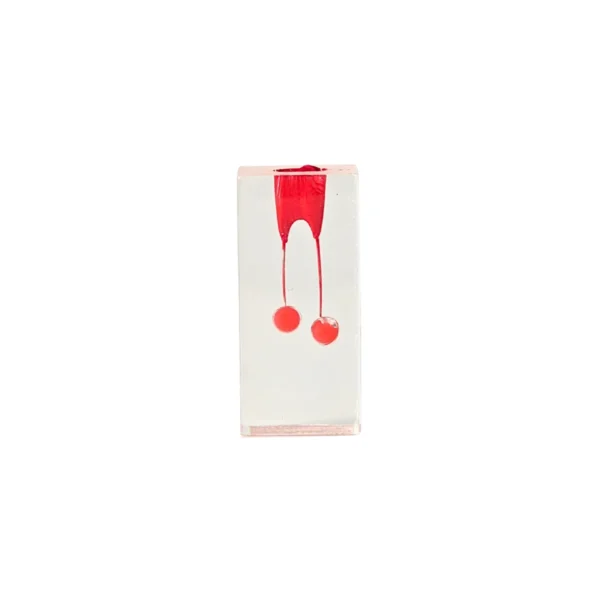 Evodent Endodontic Training Model