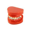 Evodent Orthodontic Bracket Model For Metal And Ceramic Bracket Red 4 Evodent Orthodontic Bracket Model For Metal And Ceramic Bracket Red