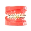 Evodent Orthodontic Model With Metal Bracket Red