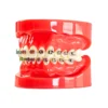 Evodent Orthodontic Model With Metal Bracket Red