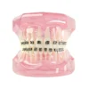 Evodent Orthodontic Model With Metal Bracket