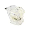 Evodent Orthodontic Model With Metal And Ceramic Bracket