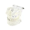 Evodent Orthodontic Model With Metal And Ceramic Bracket