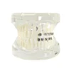Evodent Four In One Orthodontic Bracket Types Demonstration Model – Metal, Ceramic, Self-Ligating &Amp; Lingual Braces 2 Evodent Four In One Orthodontic Bracket Types Demonstration Model – Metal, Ceramic, Self-Ligating &Amp; Lingual Braces