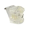 Evodent Four In One Orthodontic Bracket Types Demonstration Model – Metal, Ceramic, Self-Ligating &Amp; Lingual Braces 3 Evodent Four In One Orthodontic Bracket Types Demonstration Model – Metal, Ceramic, Self-Ligating &Amp; Lingual Braces