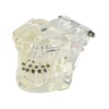 Evodent Four In One Orthodontic Bracket Types Demonstration Model – Metal, Ceramic, Self-Ligating &Amp; Lingual Braces 4 Evodent Four In One Orthodontic Bracket Types Demonstration Model – Metal, Ceramic, Self-Ligating &Amp; Lingual Braces