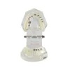 Evodent Four In One Orthodontic Bracket Types Demonstration Model – Metal, Ceramic, Self-Ligating &Amp; Lingual Braces 5 Evodent Four In One Orthodontic Bracket Types Demonstration Model – Metal, Ceramic, Self-Ligating &Amp; Lingual Braces