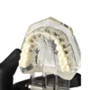 Evodent Four In One Orthodontic Bracket Types Demonstration Model – Metal, Ceramic, Self-Ligating &Amp; Lingual Braces 8 Evodent Four In One Orthodontic Bracket Types Demonstration Model – Metal, Ceramic, Self-Ligating &Amp; Lingual Braces