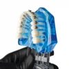 Evodent Orthodontic Model With Metal, Ceramic And Lingual Bracket Clear