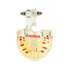 Evodent Pedodontic Model For 7 Years Child, Early Mixed Dentition And Erupting Permanent