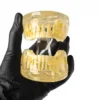 Evodent Pedodontic Model For 9 Years Child Late Mixed Dentition