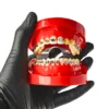 Evodent Orthodontic Bracket Model For Metal And Ceramic Bracket Red 5 Evodent Orthodontic Bracket Model For Metal And Ceramic Bracket Red