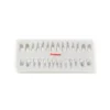 Evodent Typodont Teeth With Metal Root And Tooth Color Crown