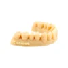 Resinwork 3D Resin For Dental Modeling, Model 4, Ipa Washable, 1Kg, Grey And Beige