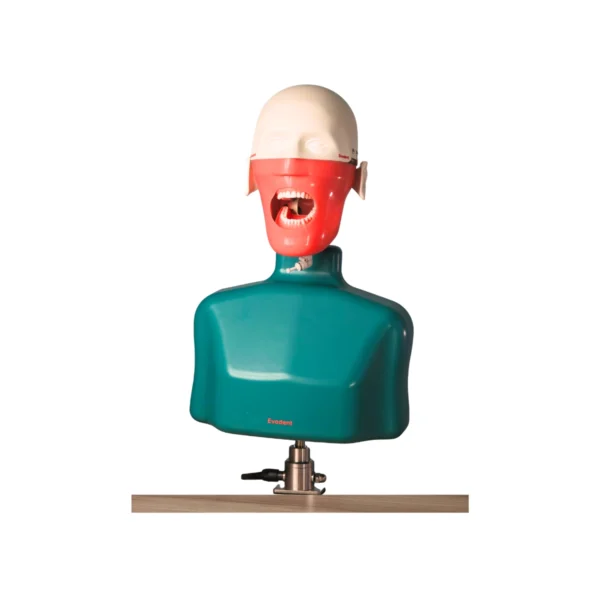 Evodent Phantom Head with Torso Attachment
