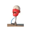 Evodent Magnetic Phantom Head 5 Evodent Magnetic Phantom Head