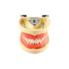 Evodent 200 Core Sg For Conservative Dentistry