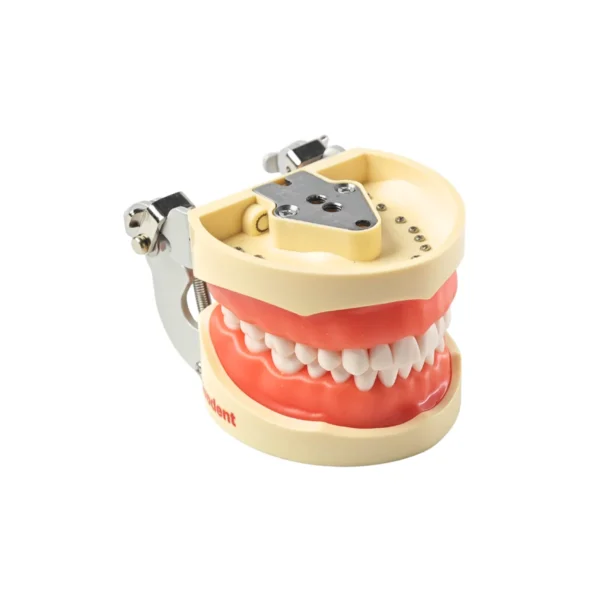 Evodent 200 Core SG For Conservative Dentistry