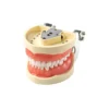 Evodent 200 Core Sg For Conservative Dentistry