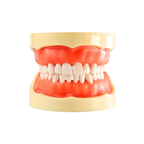 Evodent 200 Core SG For Conservative Dentistry