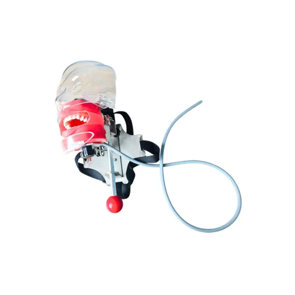 Evodent Headrest Mount Phantom Head