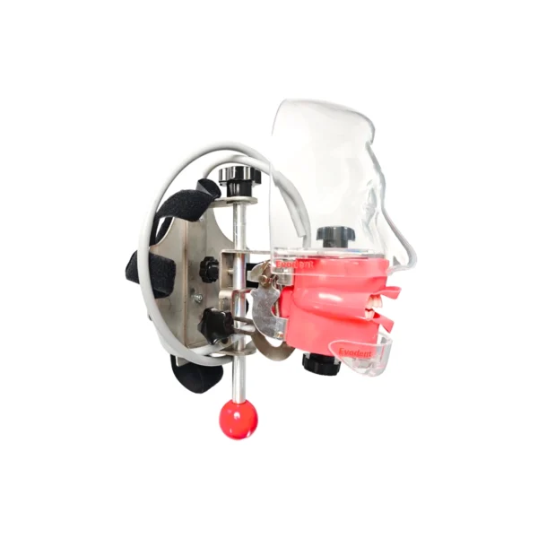 Evodent Headrest Mount Phantom Head