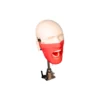 Evodent Magnetic Phantom Head