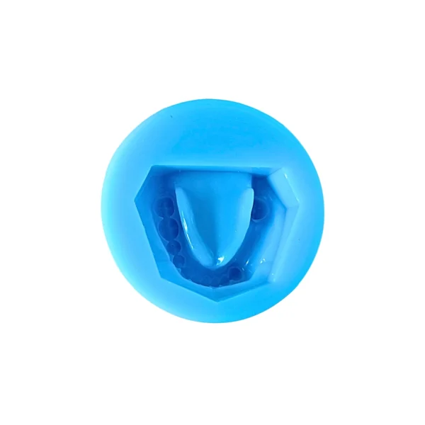 Evodent Partial Dentulous Mold Silicone Plaster Mold, Upper and Lower Jaw
