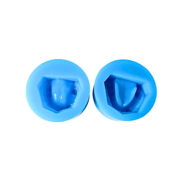 Evodent Partial Dentulous Mold Silicone Plaster Mold, Upper and Lower Jaw