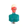 Evodent Phantom Head With Torso Attachment