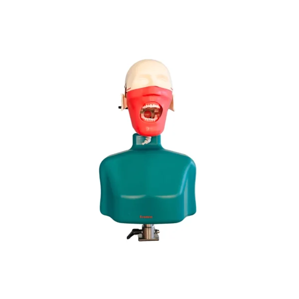 Evodent Phantom Head with Torso Attachment