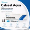 Jaypee Dent Calseal Aqua Calcium Hydroxide Paste For Root Canal Dressing, Endodontic Dental Material, 1 X 3G Syringe 3 Jaypee Dent Calseal Aqua Calcium Hydroxide Paste For Root Canal Dressing, Endodontic Dental Material, 1 X 3G Syringe
