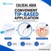 Jaypee Dent Calseal Aqua Calcium Hydroxide Paste For Root Canal Dressing, Endodontic Dental Material, 1 X 3G Syringe 5 Jaypee Dent Calseal Aqua Calcium Hydroxide Paste For Root Canal Dressing, Endodontic Dental Material, 1 X 3G Syringe