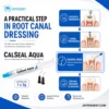 Jaypee Dent Calseal Aqua Calcium Hydroxide Paste For Root Canal Dressing, Endodontic Dental Material, 1 X 3G Syringe 7 Jaypee Dent Calseal Aqua Calcium Hydroxide Paste For Root Canal Dressing, Endodontic Dental Material, 1 X 3G Syringe
